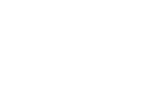 Wake Forest University Hex Colors: Gradient